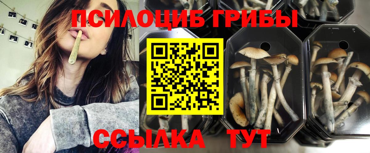 Псилоцибиновые грибы прущие грибы Солнечногорск